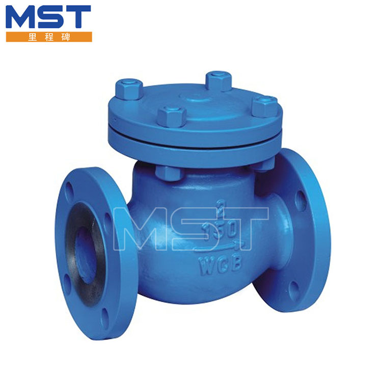 Flanged WCB Swing valve check